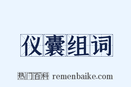 仪囊组词是什么意思的图片